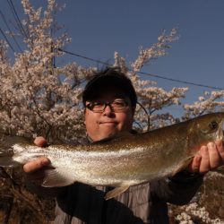 フィッシングレイクたかみや 釣果