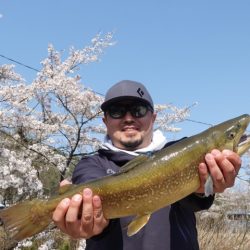 フィッシングレイクたかみや 釣果
