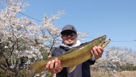 フィッシングレイクたかみや 釣果