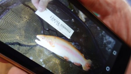 フィッシングレイクたかみや 釣果