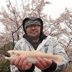 フィッシングレイクたかみや 釣果