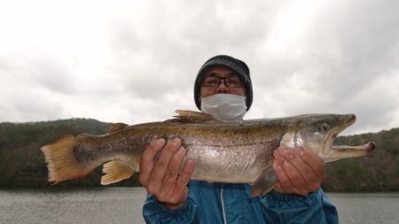 フィッシングレイクたかみや 釣果