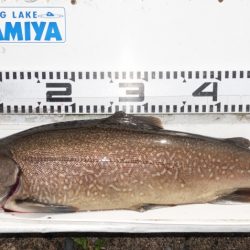 フィッシングレイクたかみや 釣果