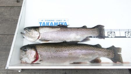 フィッシングレイクたかみや 釣果