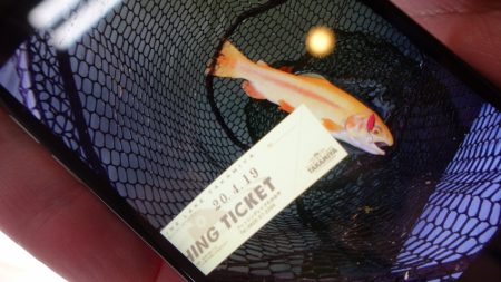 フィッシングレイクたかみや 釣果