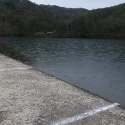 フィッシングレイクたかみや 釣果