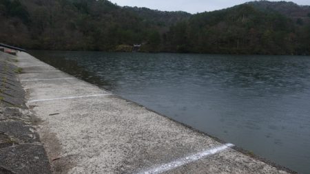 フィッシングレイクたかみや 釣果