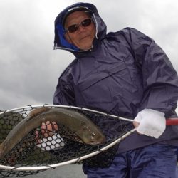 フィッシングレイクたかみや 釣果