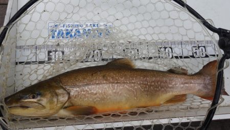 フィッシングレイクたかみや 釣果