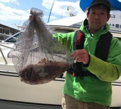 恵比寿丸(兵庫) 釣果