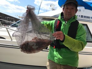 恵比寿丸(兵庫) 釣果