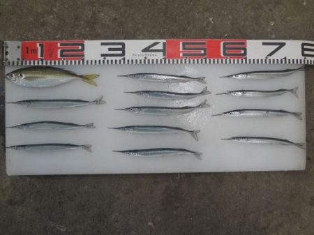 のとじま臨海公園海づりセンター 釣果