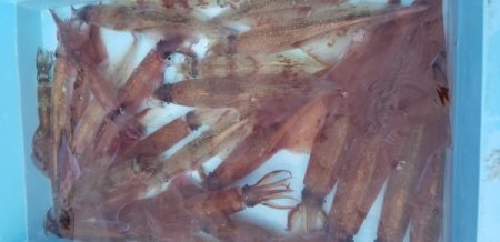 第三隆栄丸 釣果