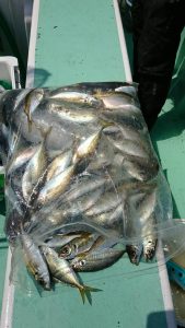 ＫＯＮＡＹＡｰＭＡＲＵ（こなや丸） 釣果