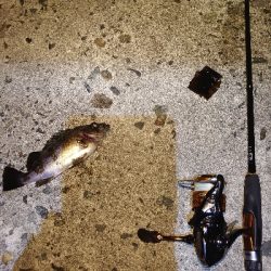 初めてのポイント