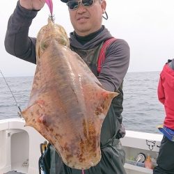 フィッシングボートACE（エース） 釣果