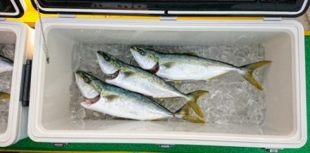 火遠理丸(ほおりまる) 釣果