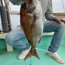 さんさん丸 釣果