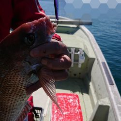 FISHING RISKY 釣果