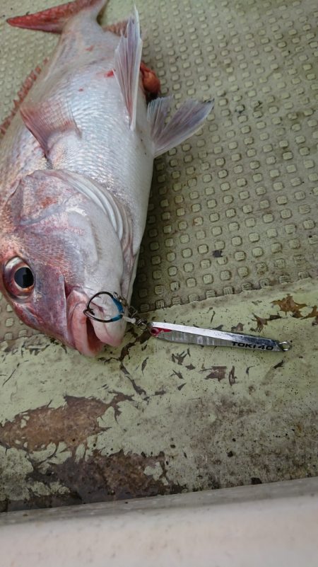 FISHING RISKY 釣果