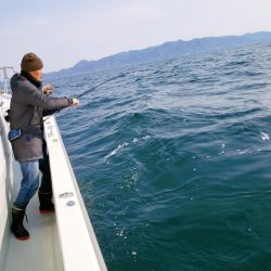 シーライオン 釣果