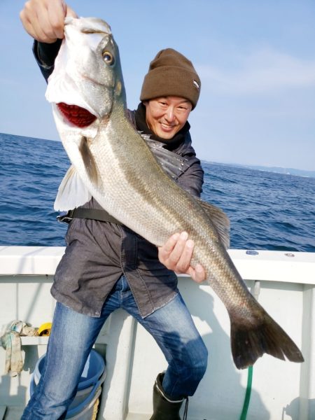 シーライオン 釣果