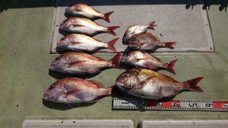 FISHING RISKY 釣果