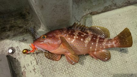 FISHING RISKY 釣果