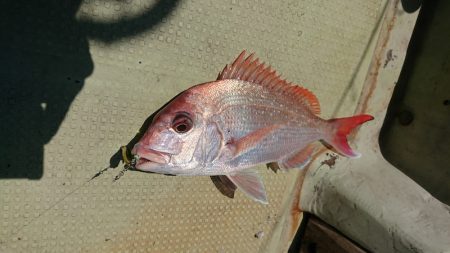 FISHING RISKY 釣果