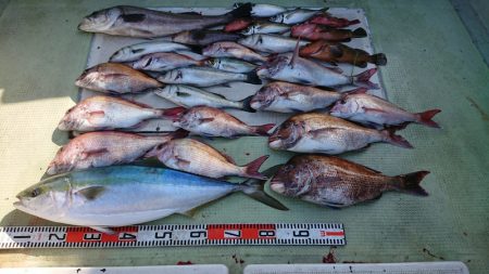 FISHING RISKY 釣果