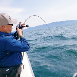 シーライオン 釣果