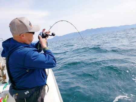 シーライオン 釣果