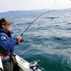 シーライオン 釣果