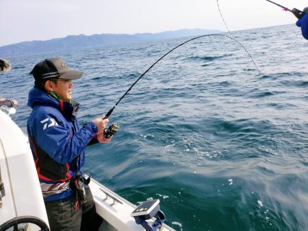 シーライオン 釣果