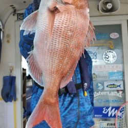 遊漁船 ニライカナイ 釣果