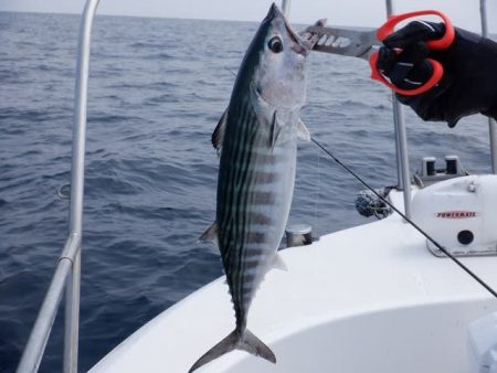 開進丸 釣果