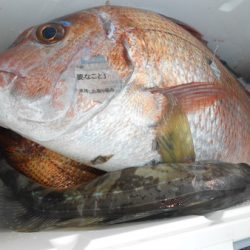 こうゆう丸 釣果
