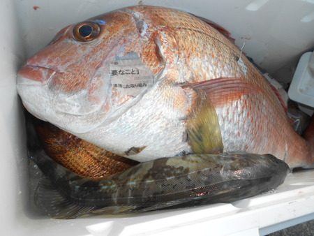 こうゆう丸 釣果