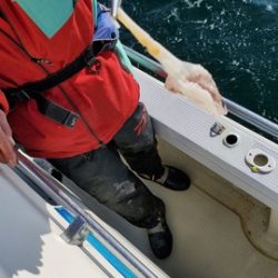 遊漁船 ニライカナイ 釣果