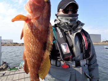 鯛紅丸 釣果