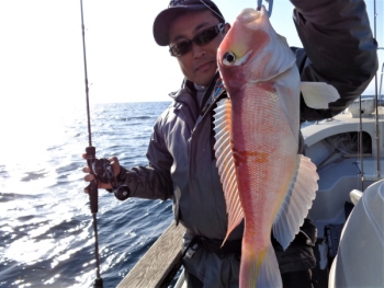 鯛紅丸 釣果