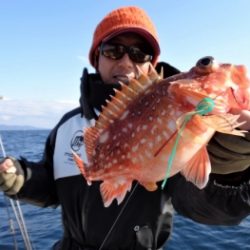 鯛紅丸 釣果