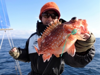 鯛紅丸 釣果