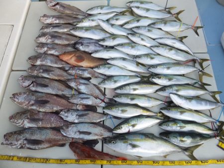 Hit Rush(ヒット ラッシュ） 釣果…