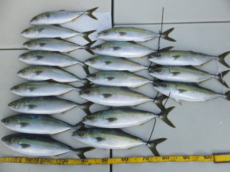 Hit Rush(ヒット ラッシュ） 釣果…