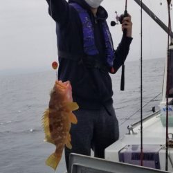 釣船 浦島太郎 釣果