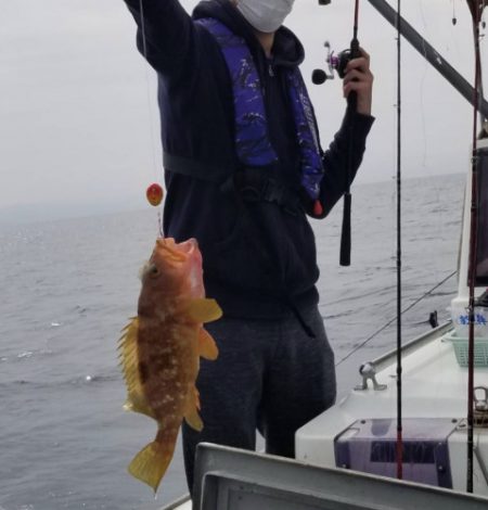 釣船 浦島太郎 釣果