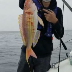 釣船 浦島太郎 釣果