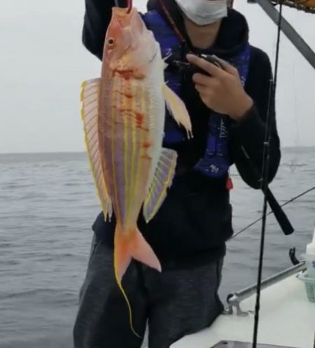 釣船 浦島太郎 釣果
