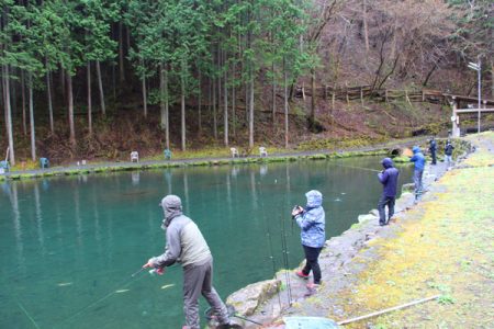 小菅トラウトガーデン 釣果